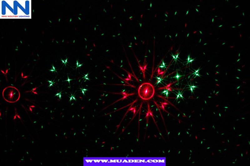 đèn chiếu hình bông hoa chấm bi laser star shower